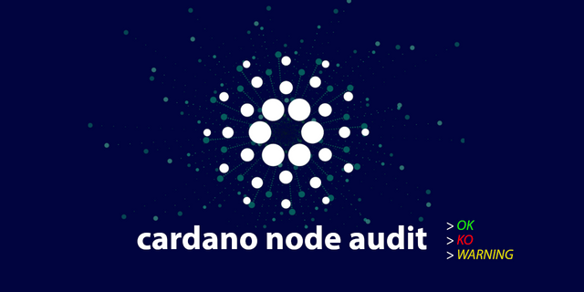 Cardano Audit Script for SPOs