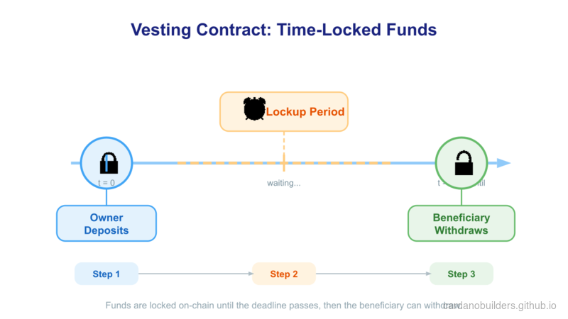 Vesting Contract Timeline